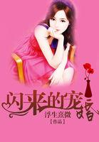 闪来的宠婚免费
