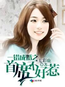 错惹首席总裁