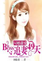 闪婚挚爱boss甜宠小娇妻