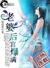 后宫有很多老婆的都市