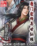 异世唐门高手在异世