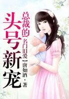 名门前妻;总裁前妻太难追