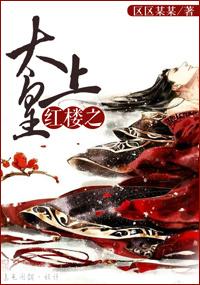 红楼之贾赦长子