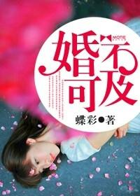 婚不宜迟免费读