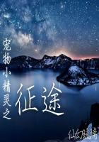 宠物小精灵之赤全文免费阅读全本