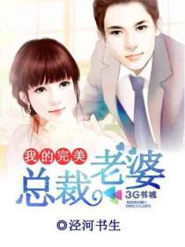 我的完美总裁老婆改编版