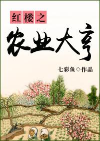 红楼农业大亨书包