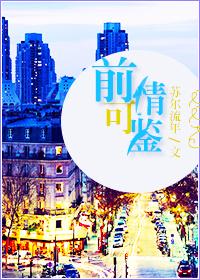 前情可鉴免费阅读