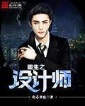 重生之设计师的崩溃情路TXT