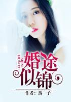 婚途似锦先婚后爱