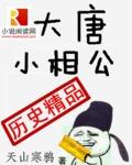 大唐小相公主角几个老婆