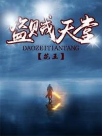 盗贼天堂之光