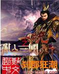 三国之乱入系统