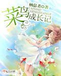 菜鸟逆袭成长