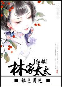 红楼林家夫人全文免费阅读