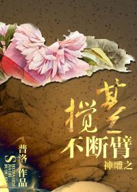 神雕之终不离兮