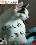 猫妖传讲的什么?