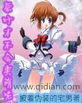 奈叶有多强