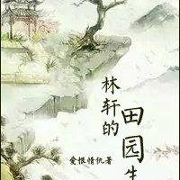 关于林轩的