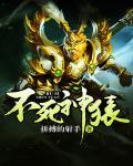 不死神风