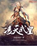 凌天武圣免费阅读