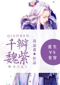 重生vs书穿之千瓣魏紫剧透