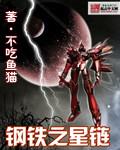 钢铁之心gstb100
