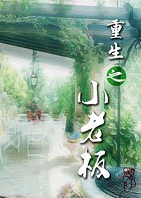 重生之小老板全文免费阅读