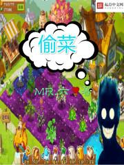 偷菜赚钱一族