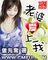老婆爱上我电视剧免费版观看