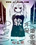 软和硬的意思