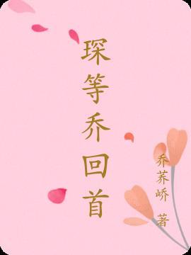 琛等乔回首