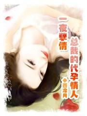 一夜孽情：总裁的代孕情人
